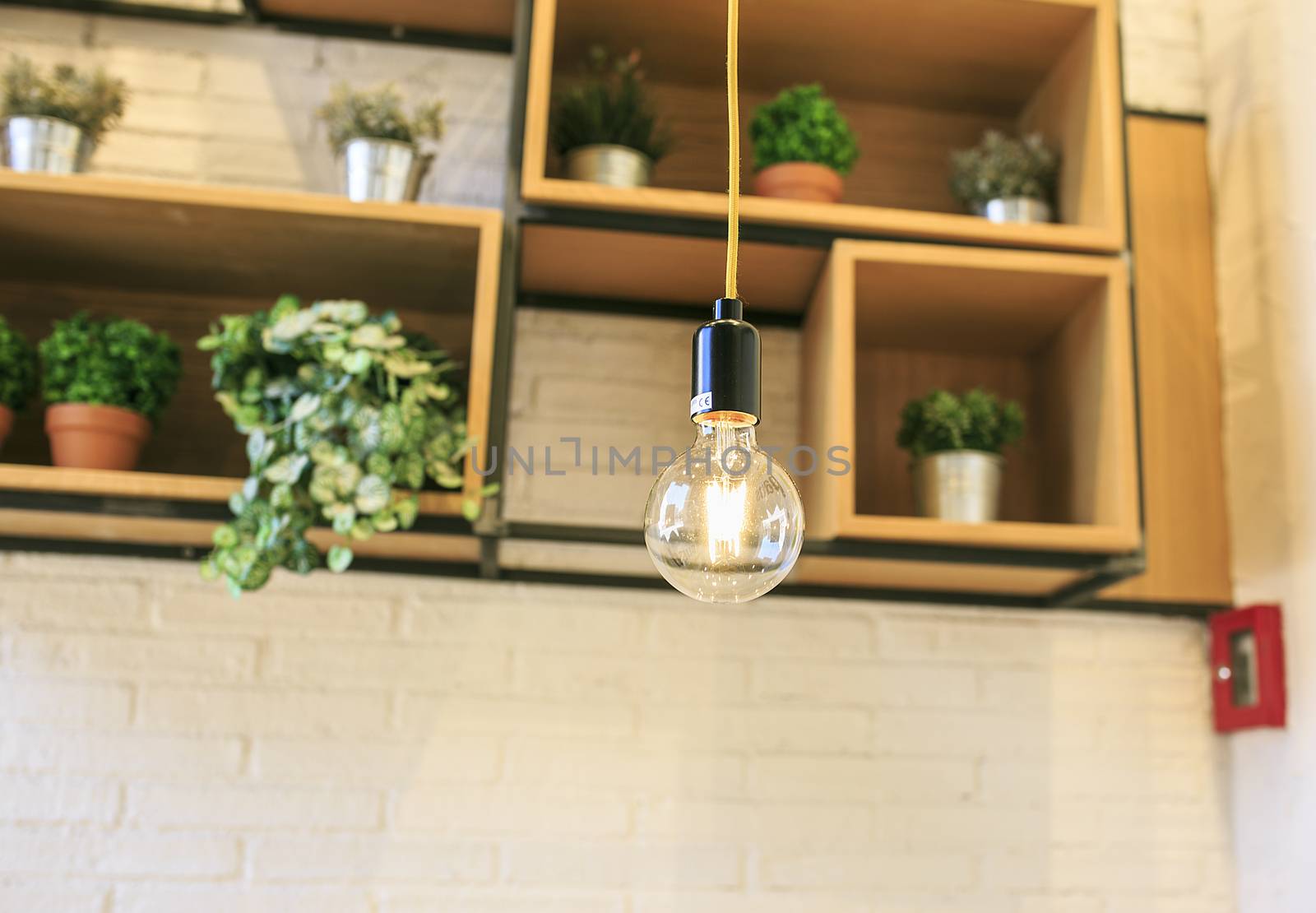 modern light bulb in a dinning room