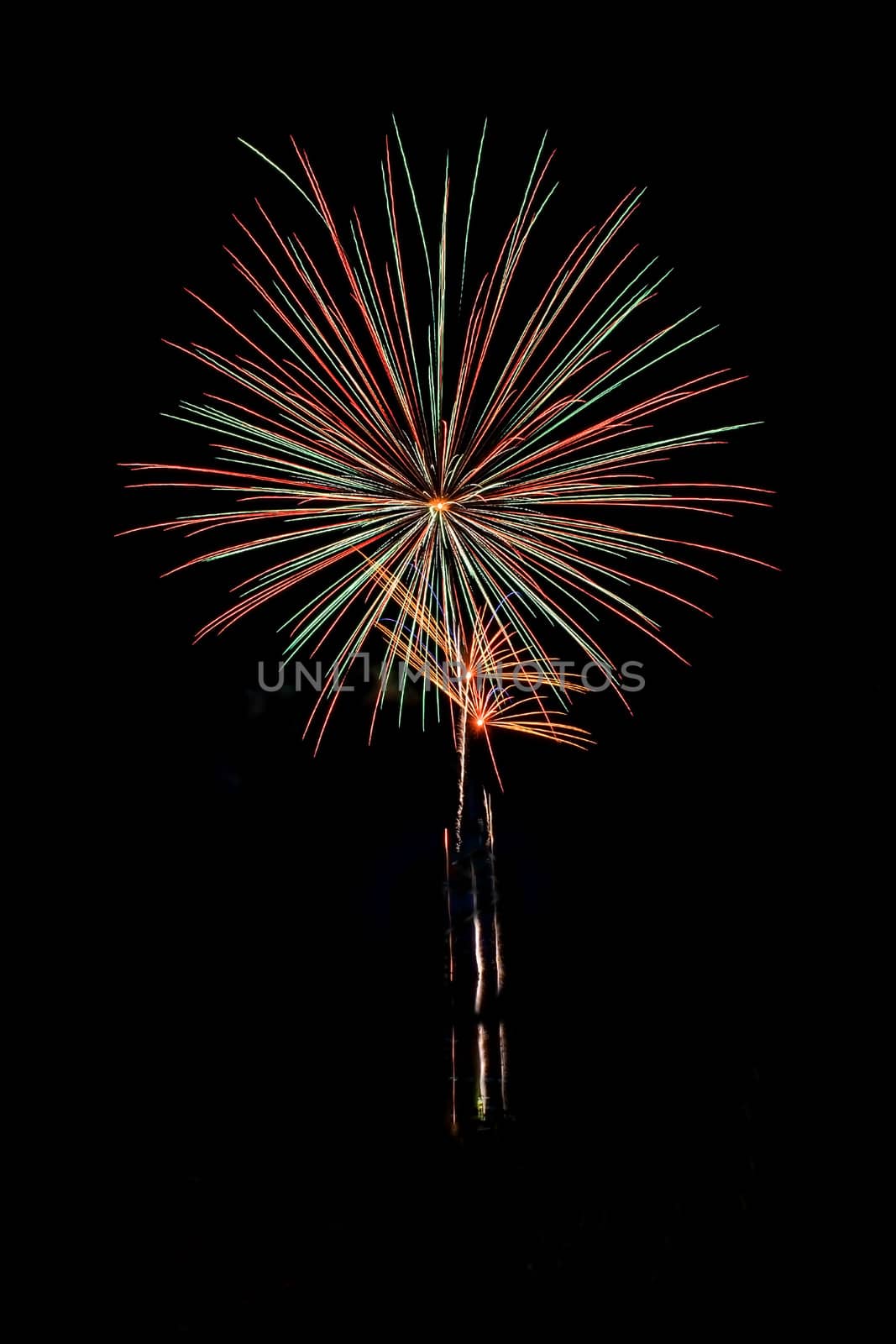 Real Isolated Fireworks, Flowers Pattern