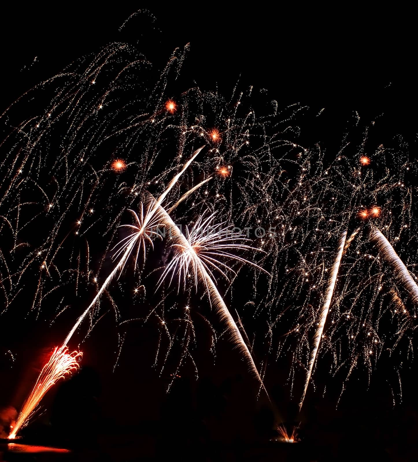 Real Isolated Fireworks, Coconut Trees Forest Pattern