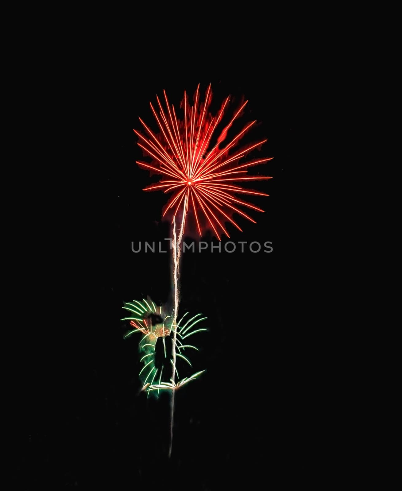 Real Isolated Fireworks, Flowers Pattern