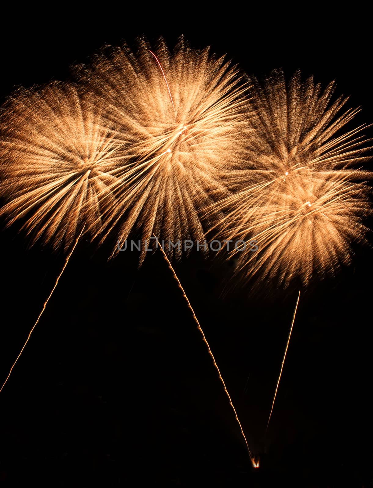 Real Isolated Fireworks, Blossoming Sunflowers Pattern
