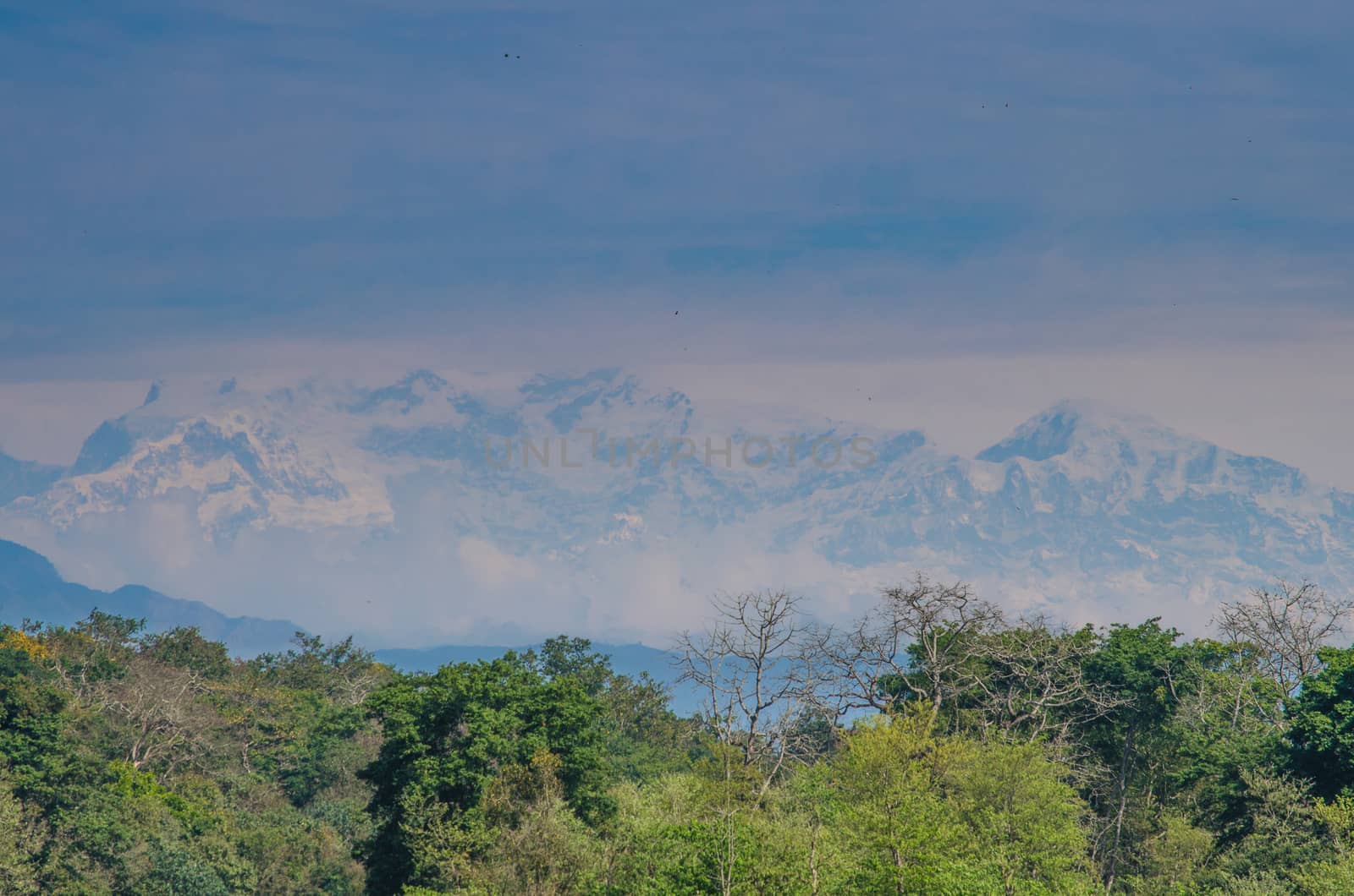 perfect view point , is have tree , village, stream , fresh air for people ,beautiful forest and blue sky