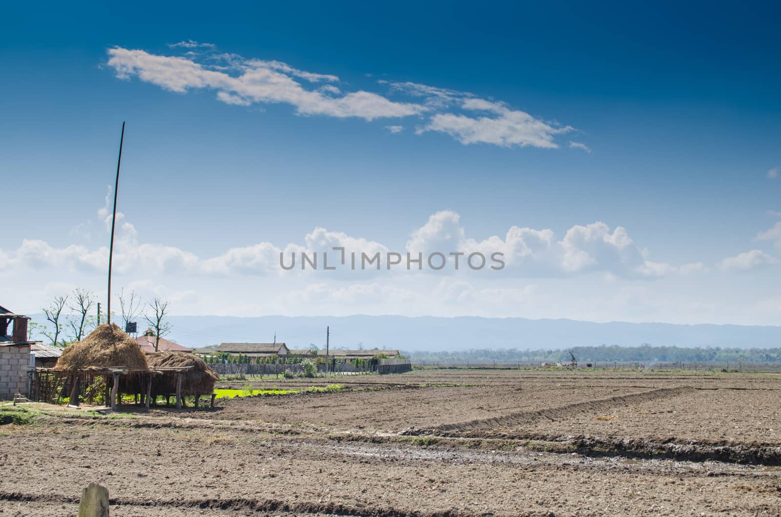 perfect view point , is have tree , village, stream , fresh air for people ,beautiful forest and blue sky