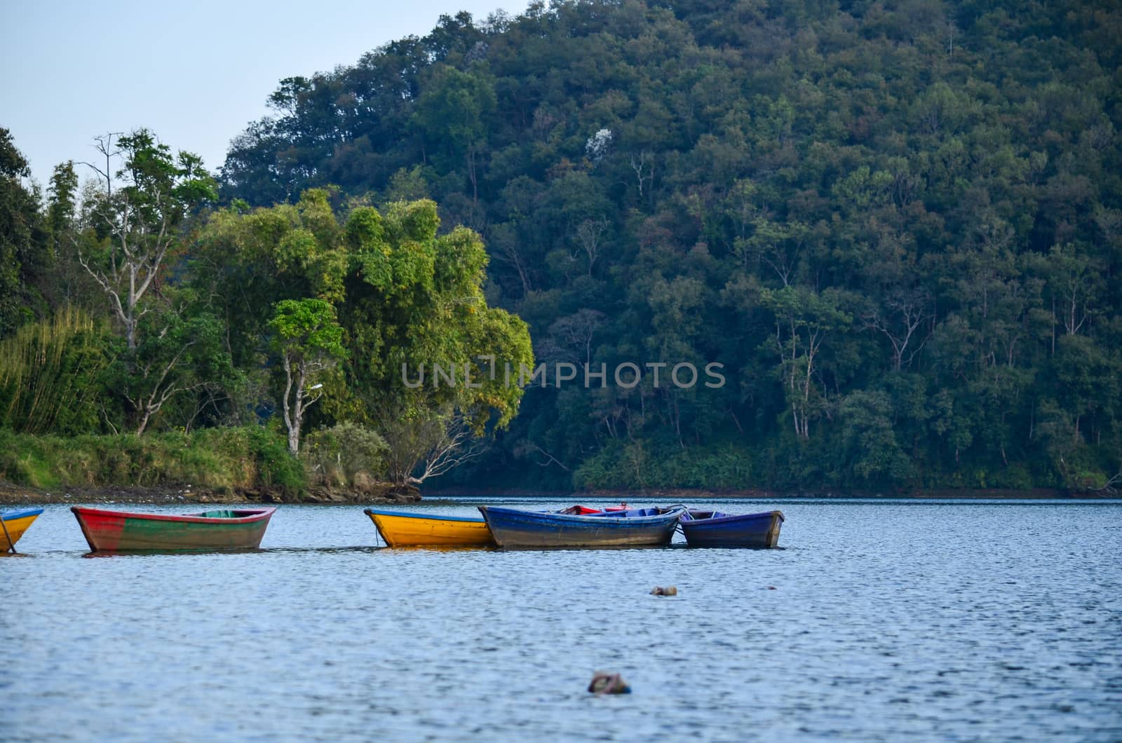 perfect view point , is have tree , village, stream , fresh air for people ,beautiful forest and blue sky
