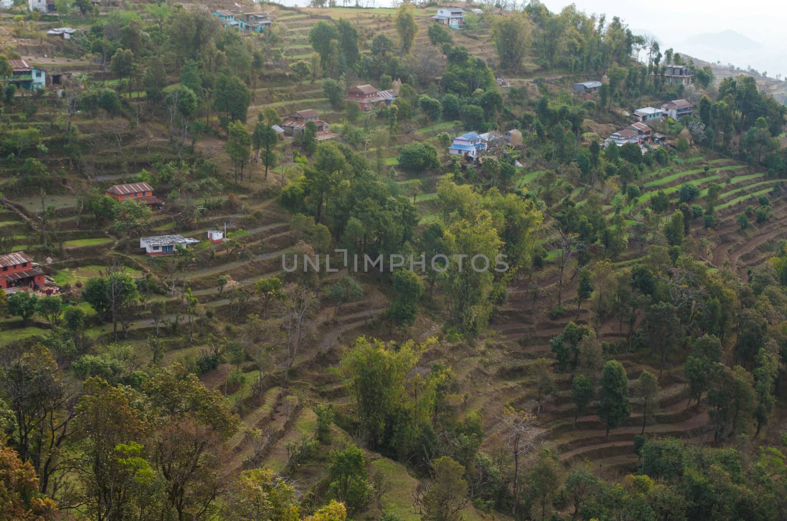 perfect view point , is have tree , village, stream , fresh air for people ,beautiful forest and blue sky
