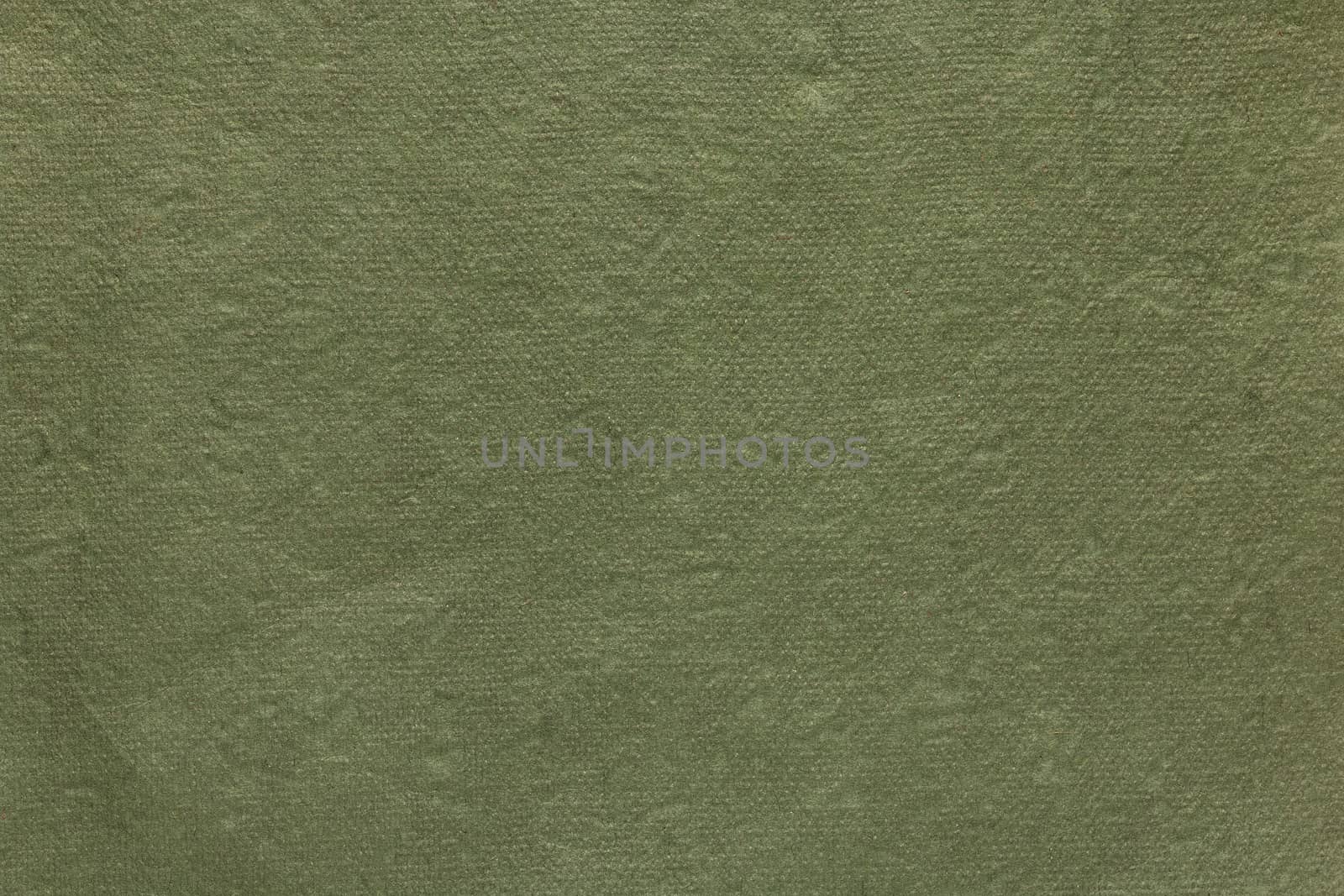 Green recycled paper texture background by ivo_13