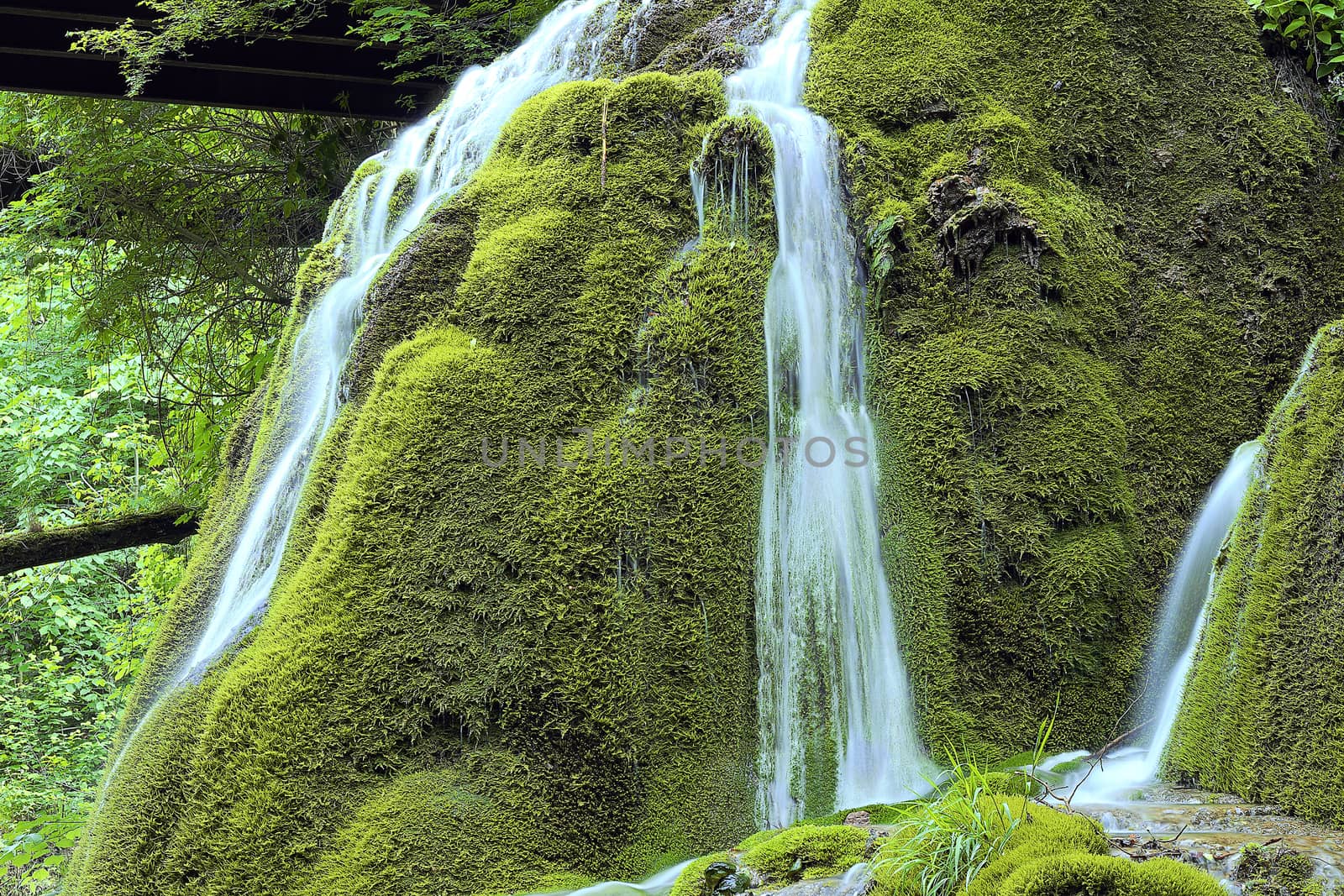 beautiful cascade on mossy rock by taviphoto