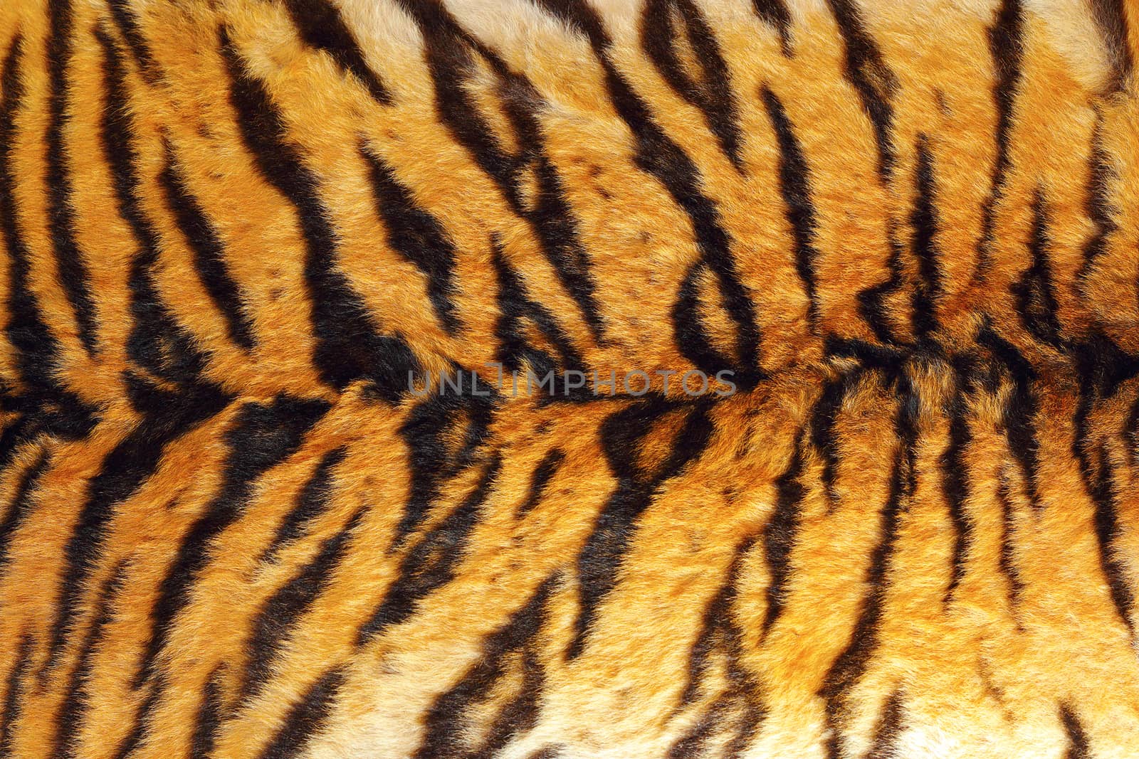 detail of tiger stripes on wild animal leather, natural texture of fur