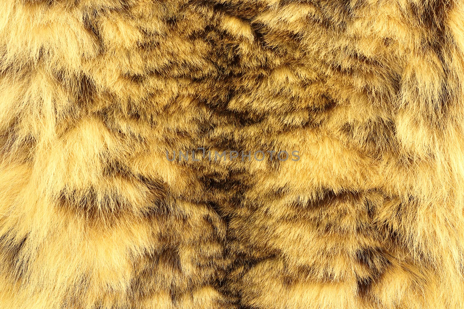 snow leopard textured pelt by taviphoto