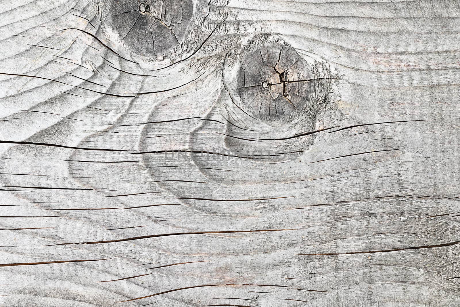 weathered fir wood texture with knot ( Abies alba )