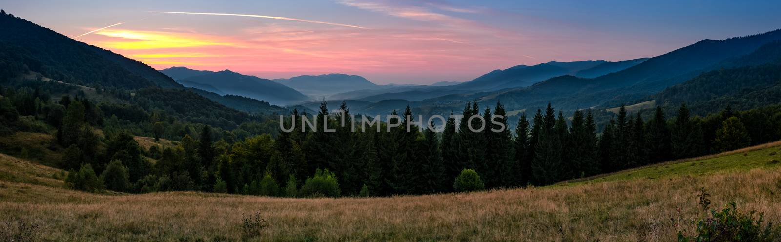 gorgeous panorama of landscape with spruce forest in mountains. lovely scenery with reddish sky above the valley at dusk in early autumn