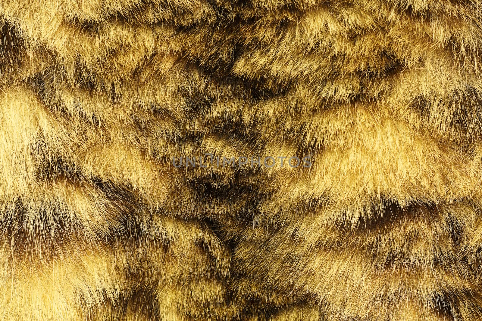 colorful texture of snow leopard fur by taviphoto