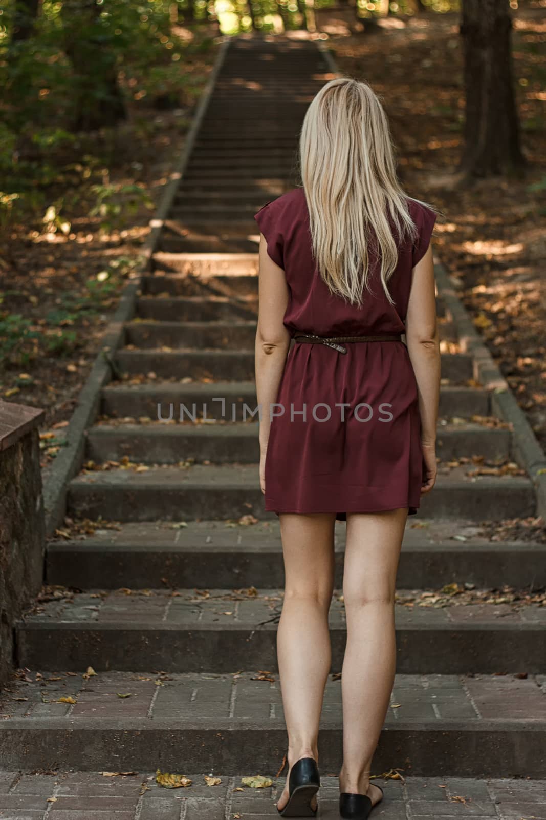 Rear view of young woman going up the stairs in the park