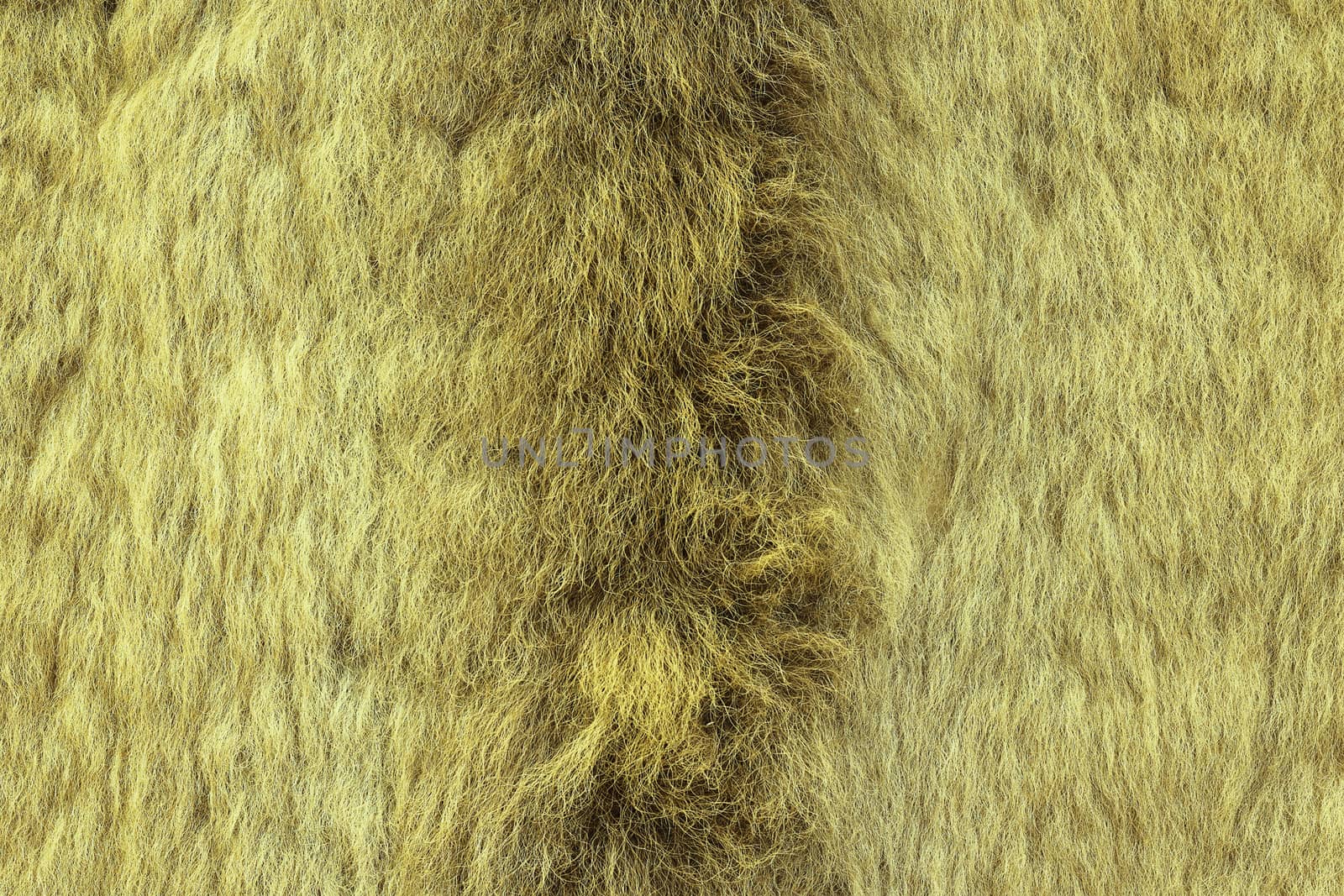 european lynx textured fur by taviphoto