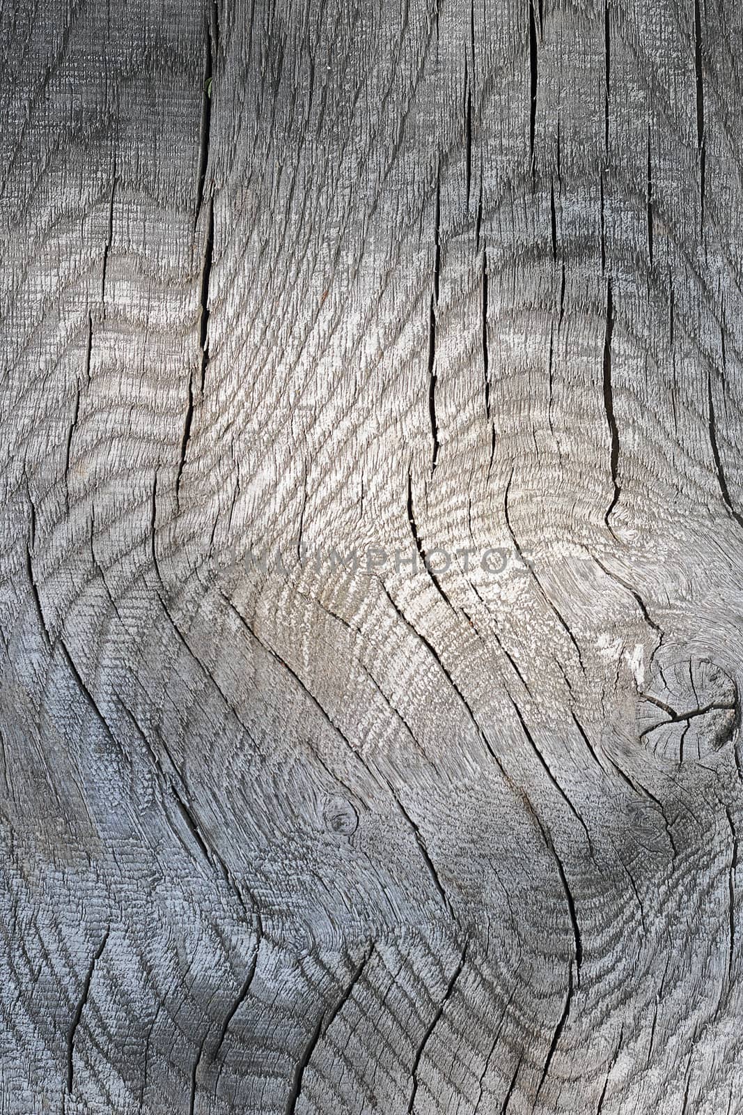 interesting texture of wood plank surface by taviphoto