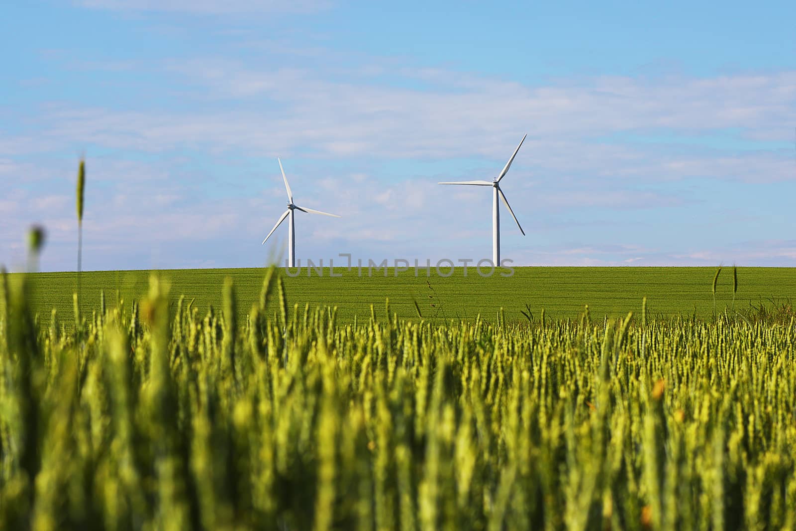 landscape with windmills for green electric power  by taviphoto