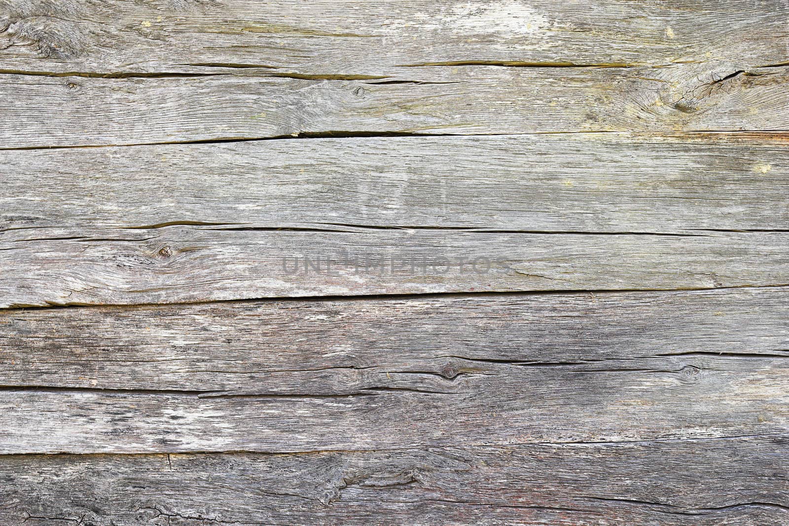 fibers on old oak wood plank by taviphoto