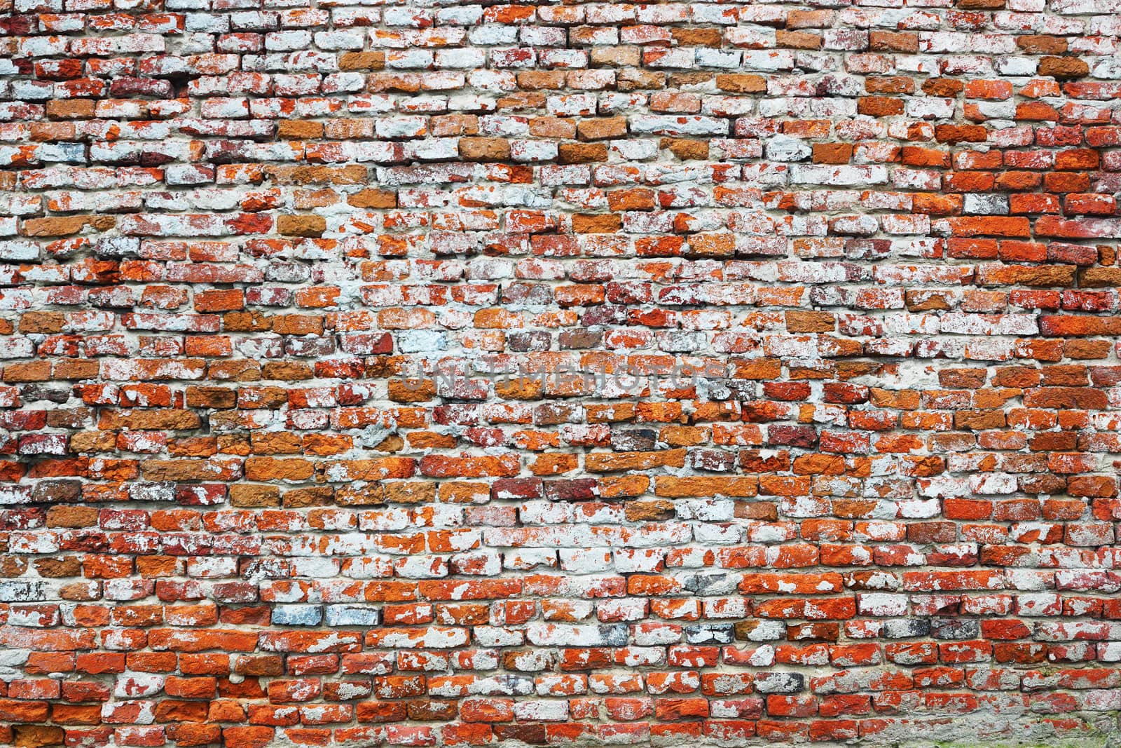 texture of old damaged brick wall by taviphoto