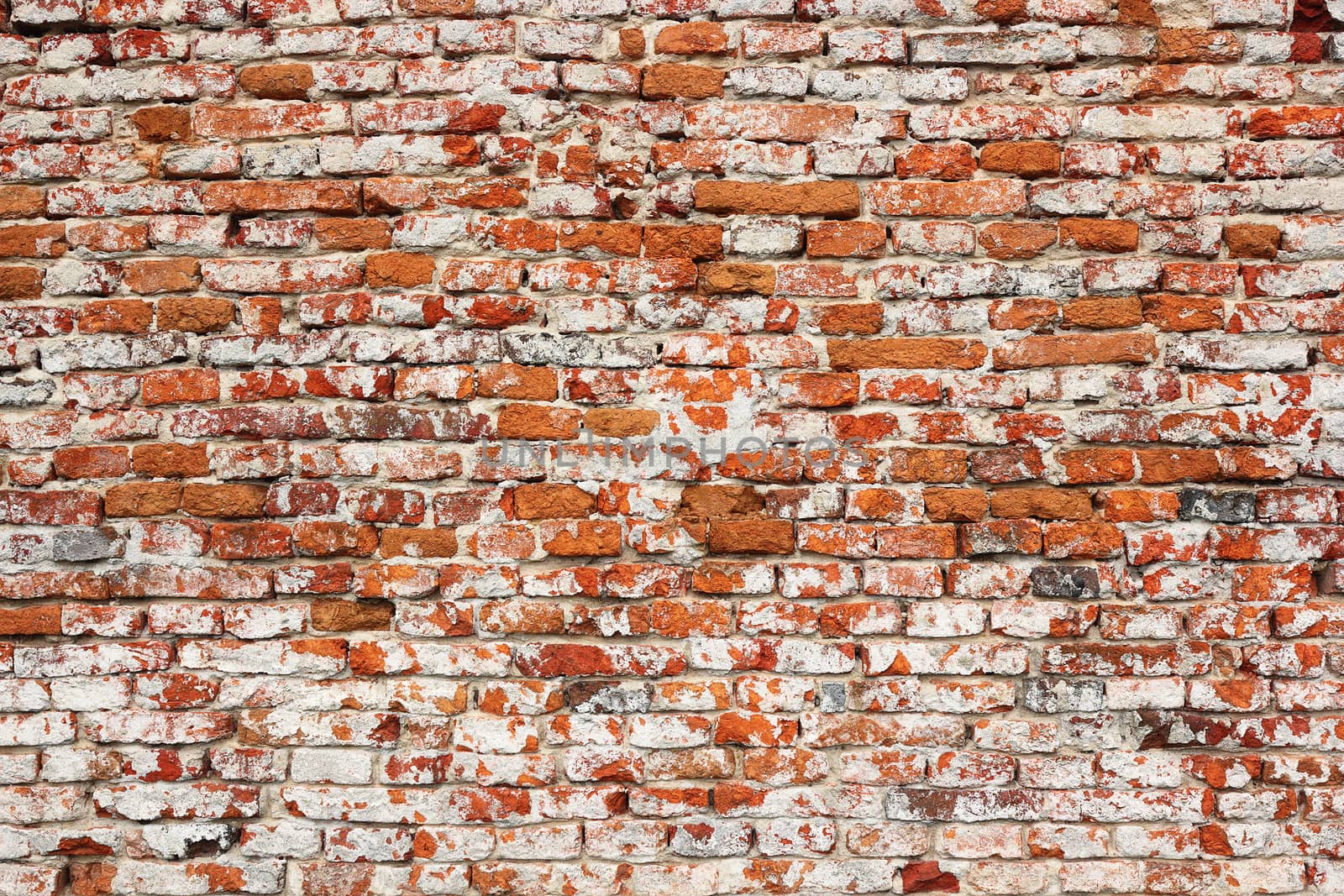 detail of real textural damaged red brick wall ready for your architectural design