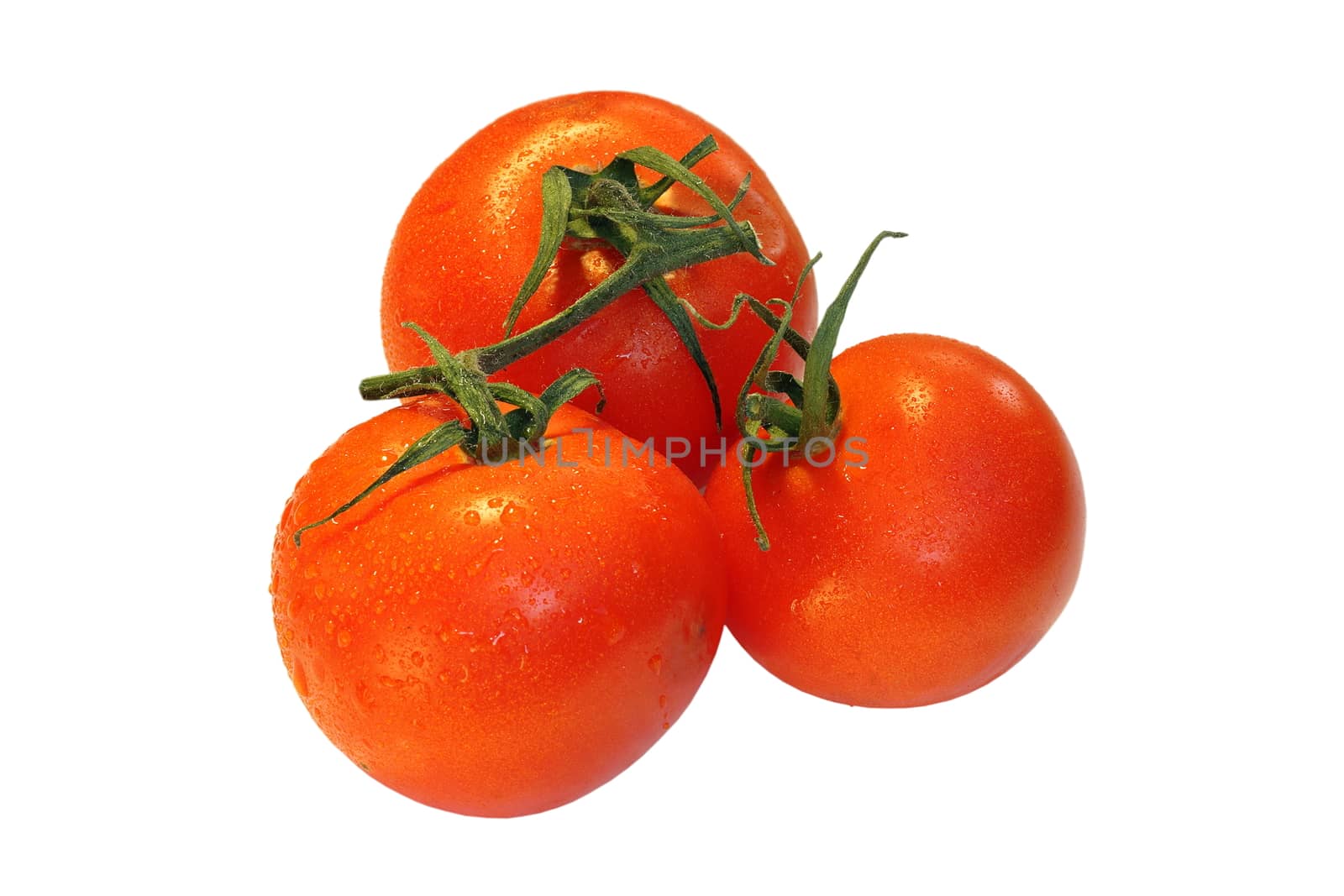 three fresh tomatoes  isolated on white background
