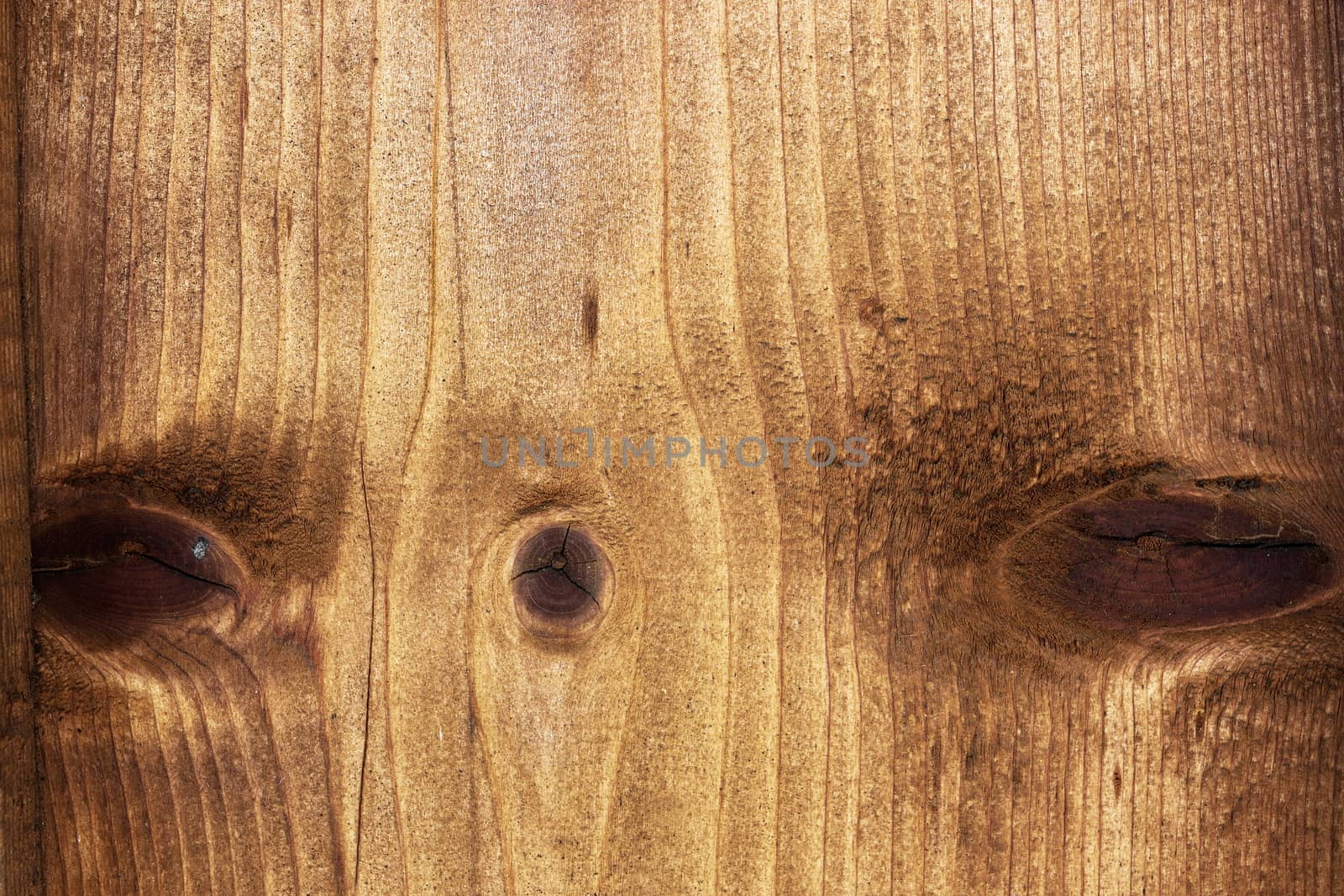 fir wood texture with knots, wooden plank closeup ready for your design