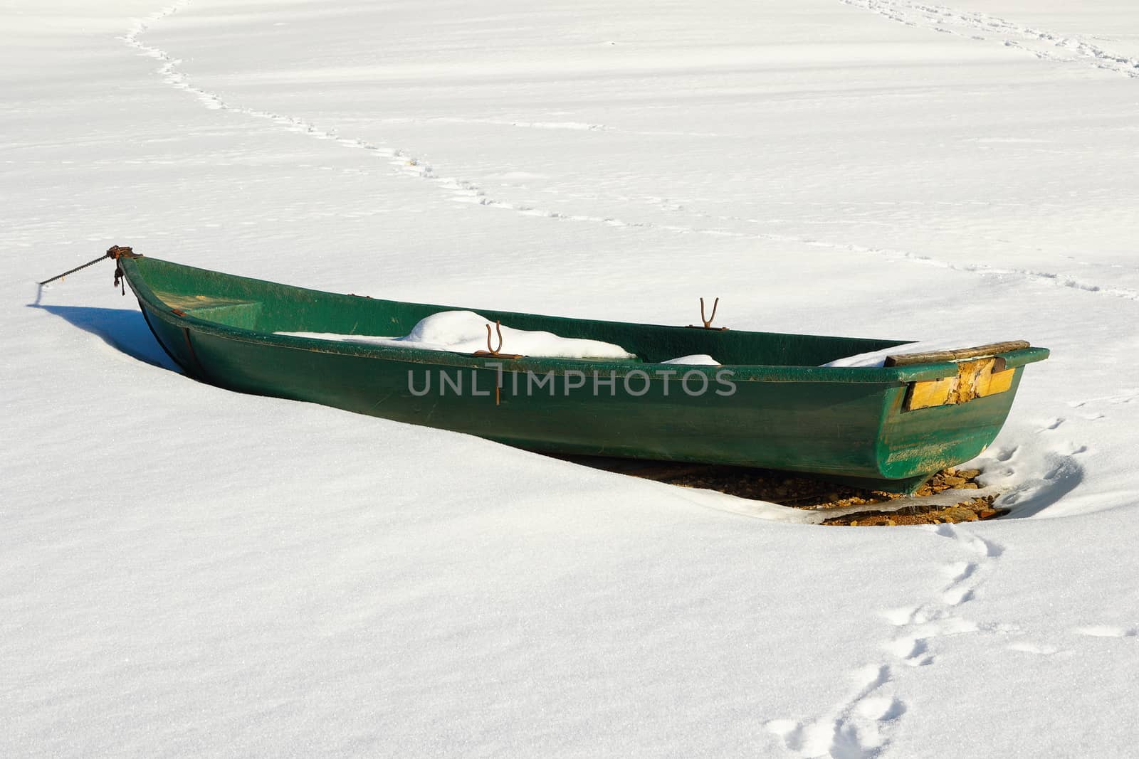 green abandoned boat by taviphoto