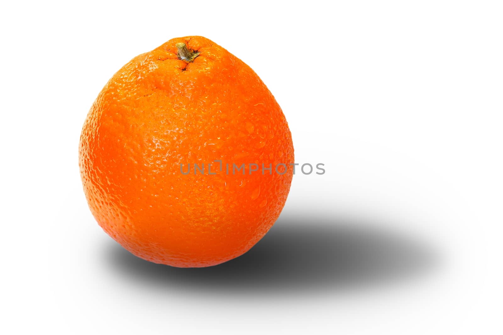 fresh orange fruit over white with shadow