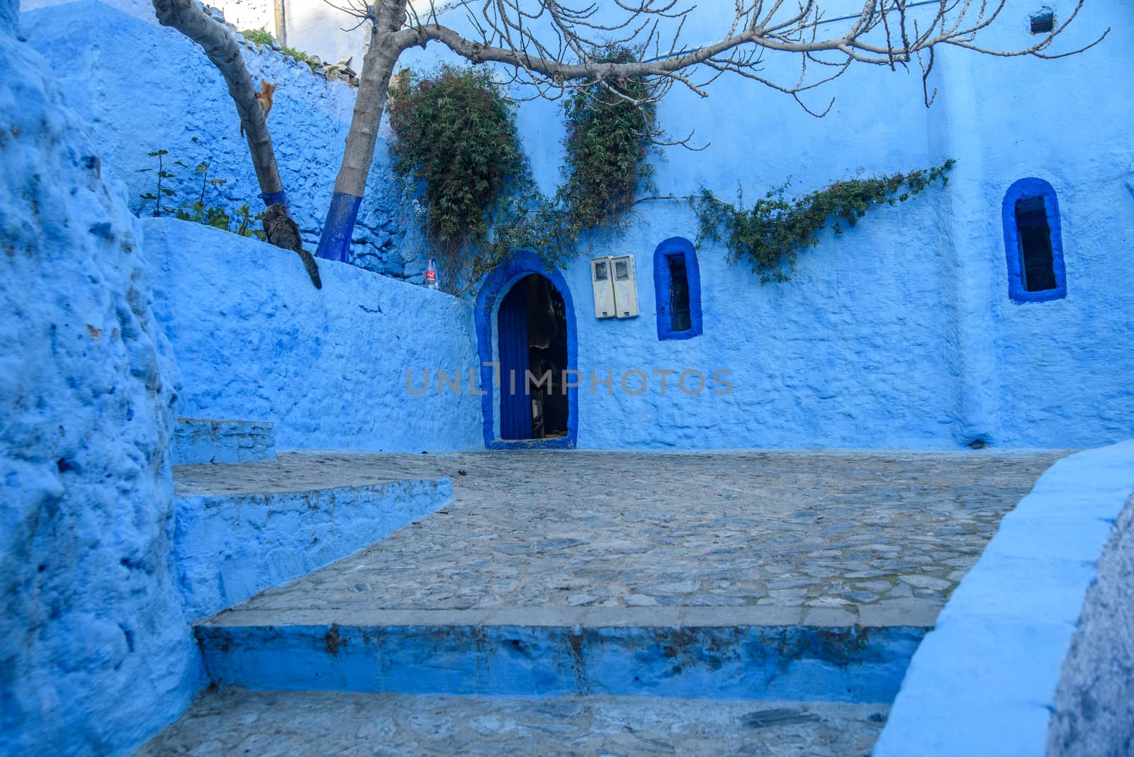 Chefchaouen, the blue city in the Morocco. by johnnychaos