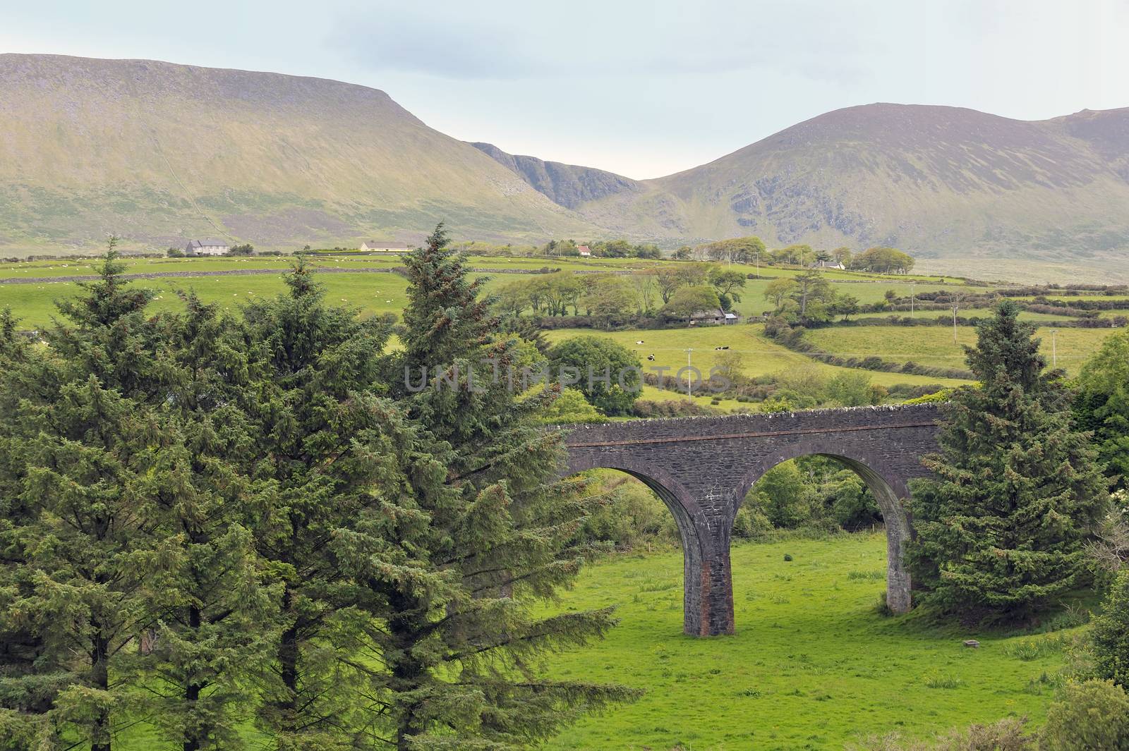 Ireland countryside view in summer time