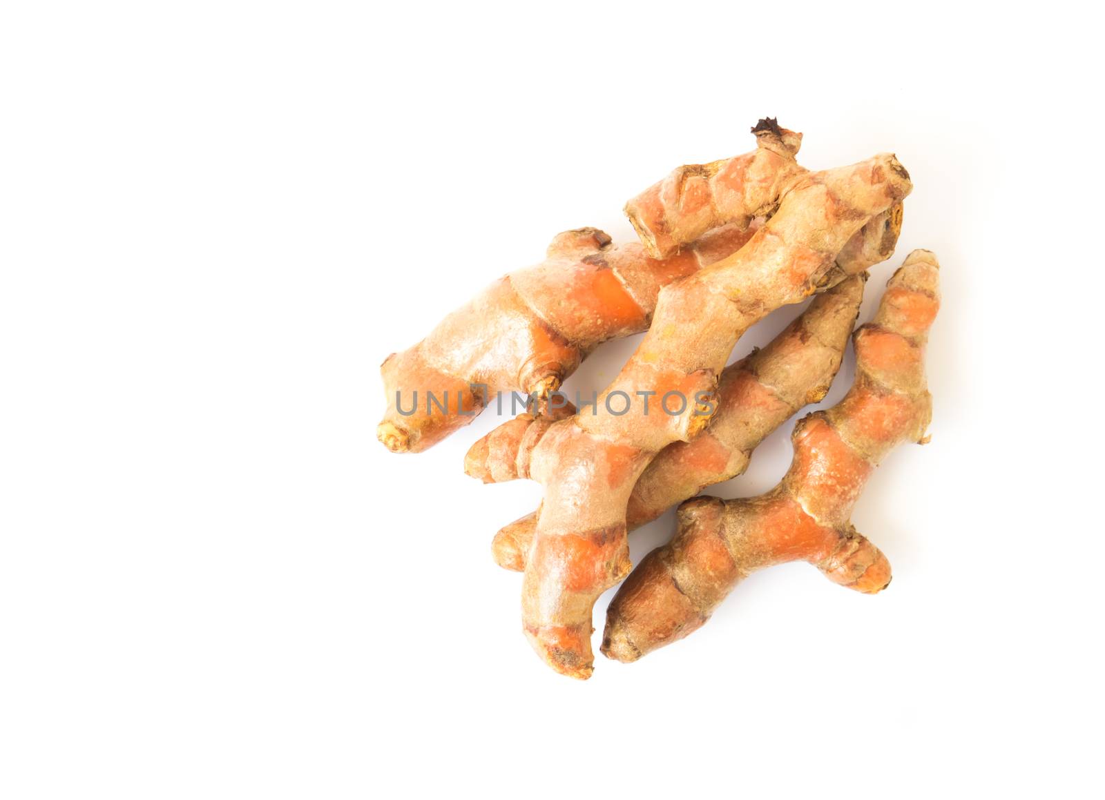 Fresh turmeric roots on white background, herb and healthy care concept