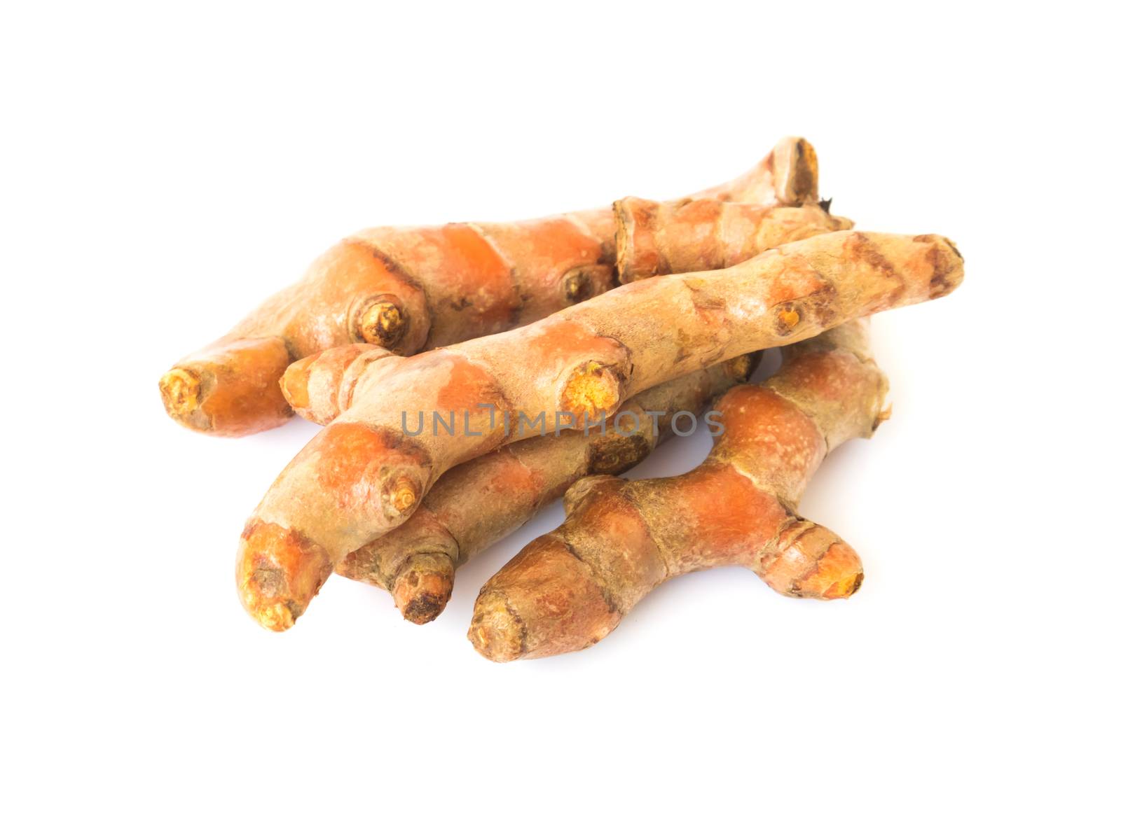 Fresh turmeric roots on white background, herb and healthy care concept