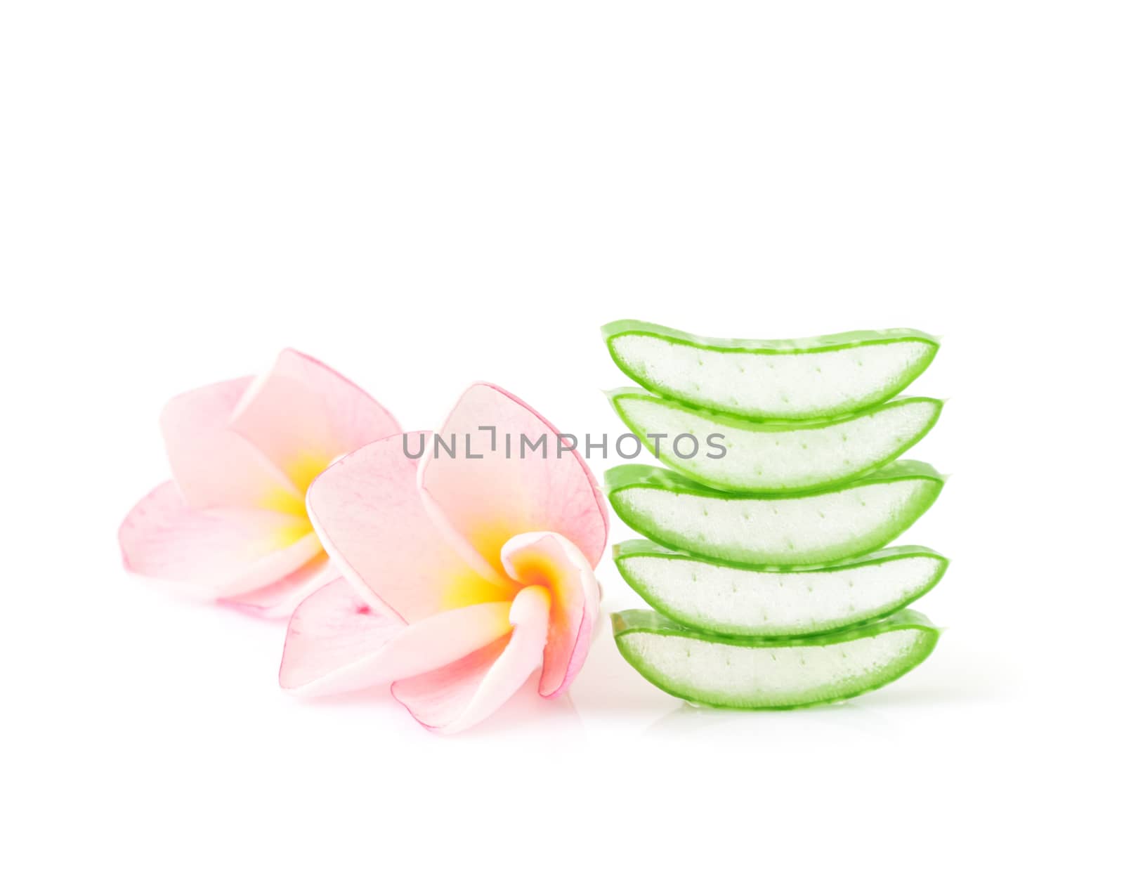Closeup fresh aloe vera slice with plumeria on white background, beauty and healthy care concept