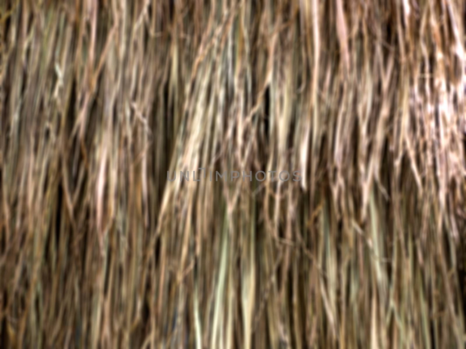 Dried Leaf blur focus Texture, haystack roof.
