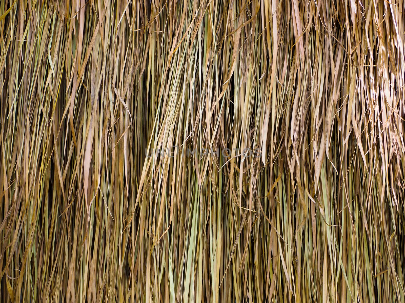 Dried Leaf Texture, haystack roof.