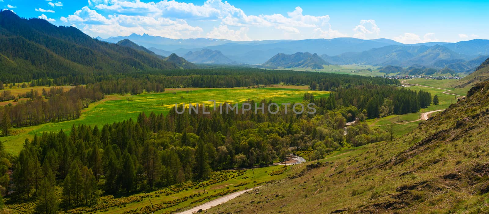 Beauty panoramic picture of summer Altai. Green and yellow meadow with trees on mountain background