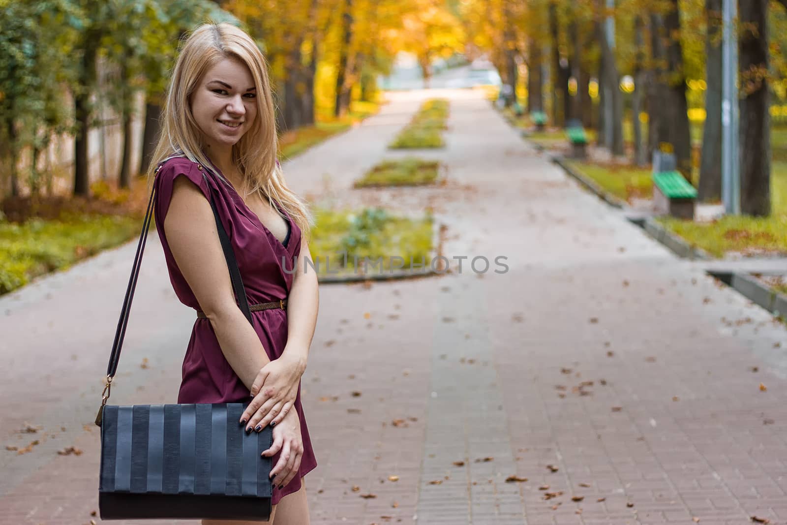 girl dressed in a dress on the autumn alley