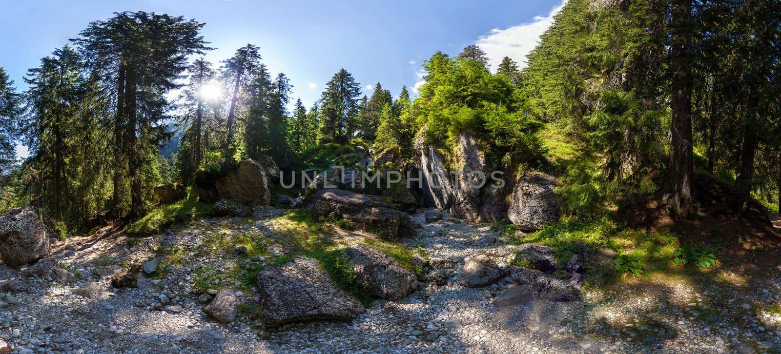 Panoramic view of a forest from Mount Bucegi on summer, part of the Carpathian Range from Romania