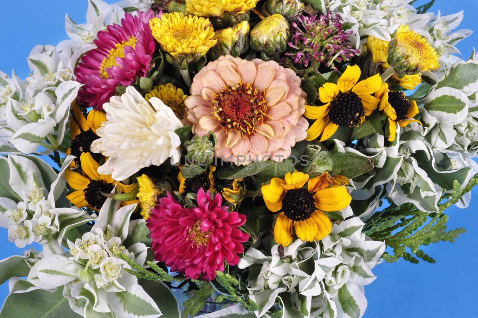 beautiful bouquet made of different flowers