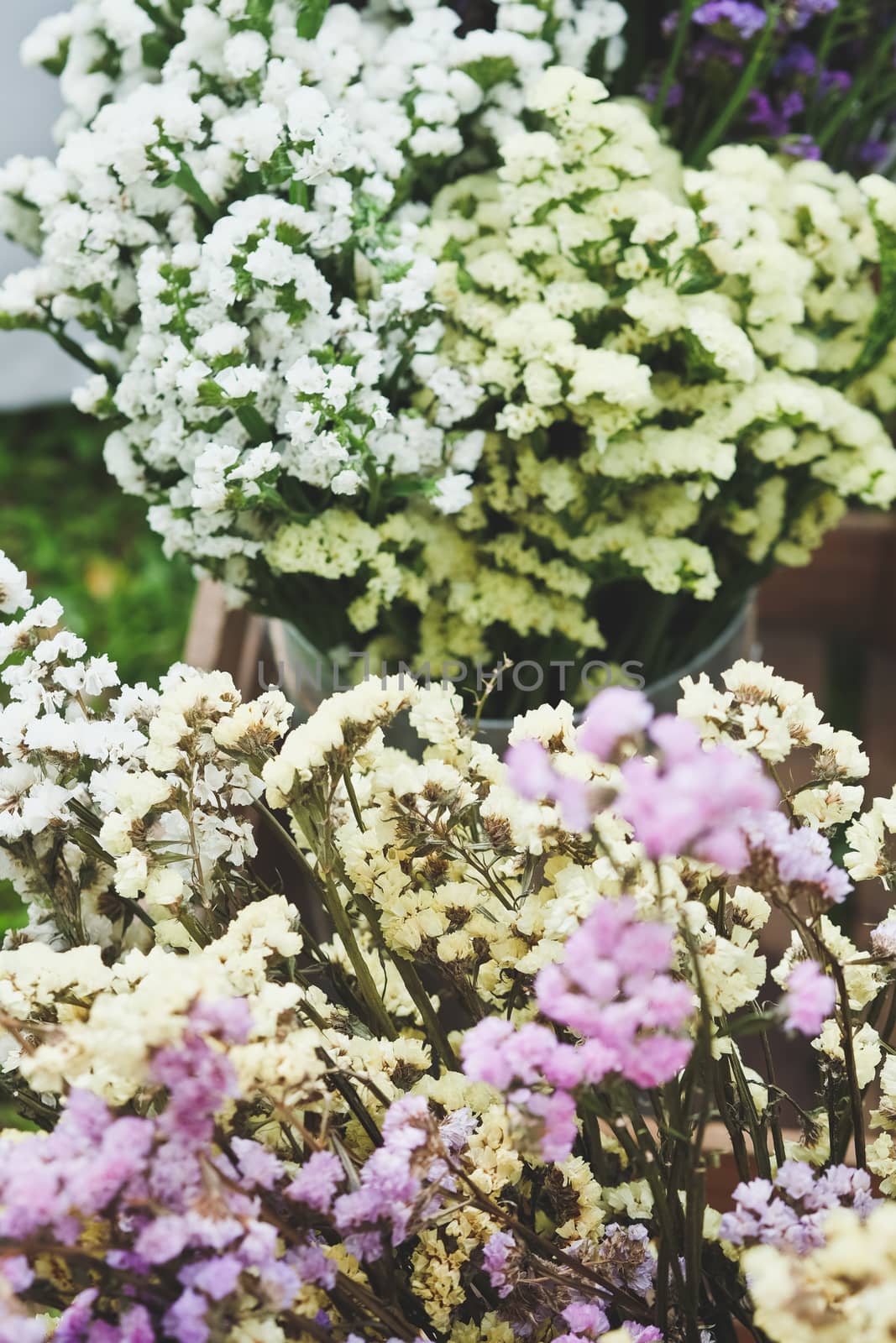 Bouquet of colorful flowers, Gypsophila