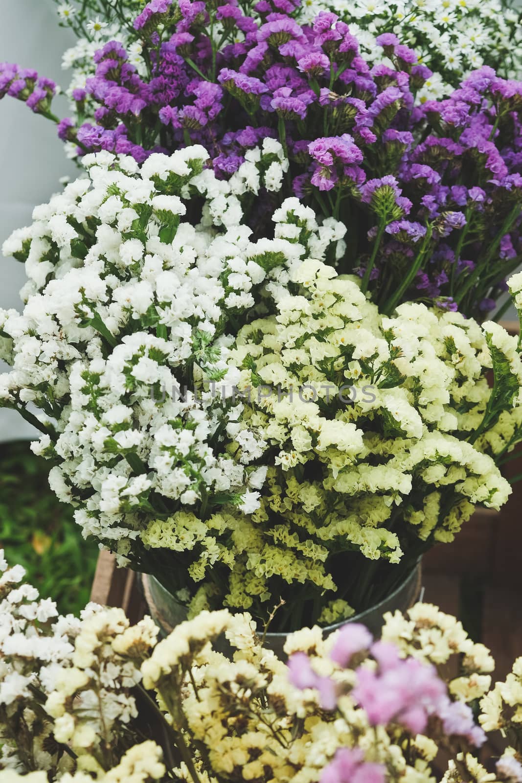Bouquet of colorful flowers, Gypsophila
