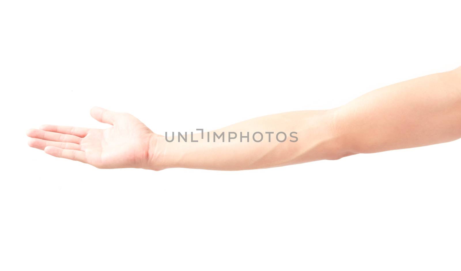 Man arm with blood veins on white background, health care and medical concept