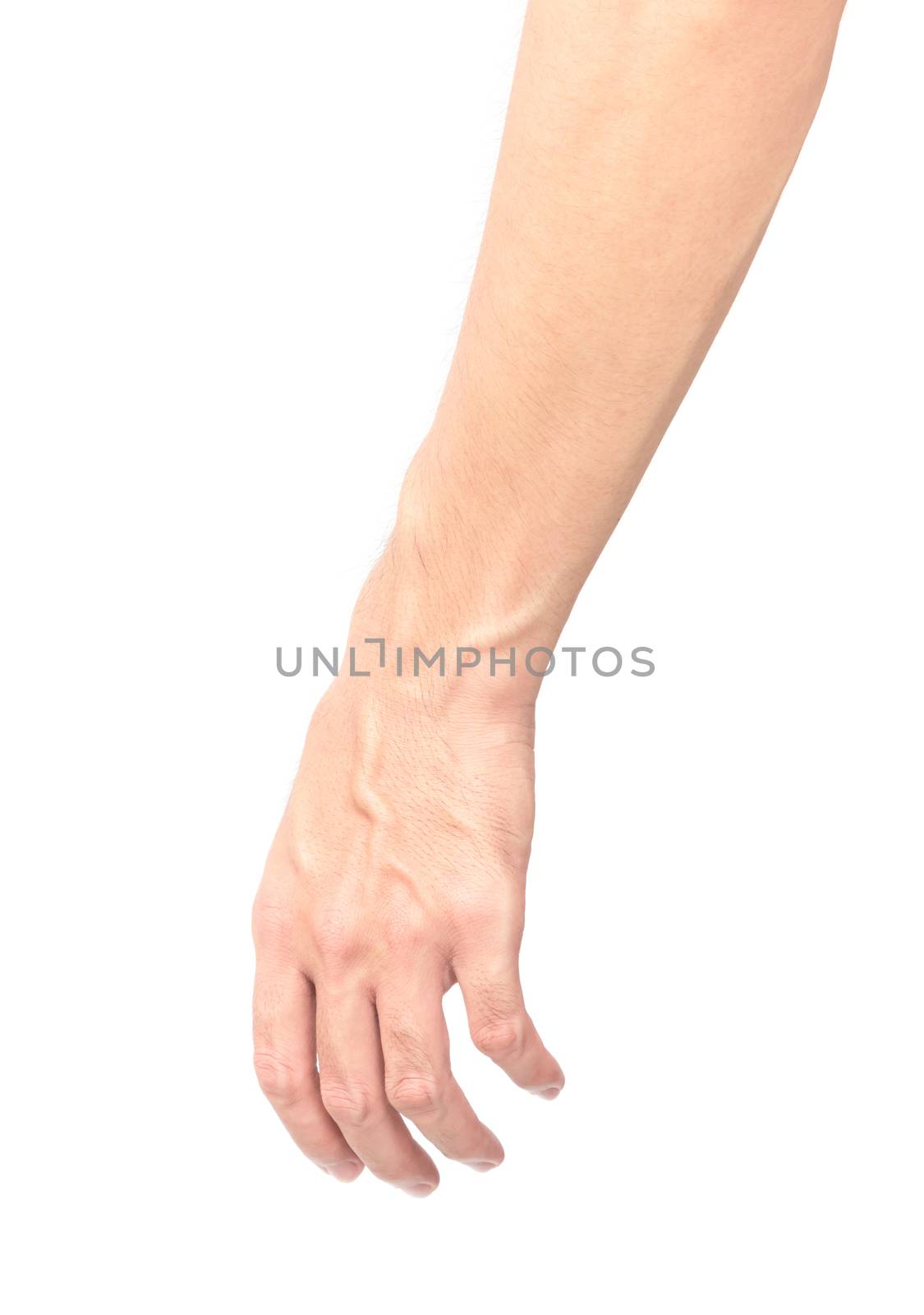 Man arm with blood veins on white background, health care and medical concept