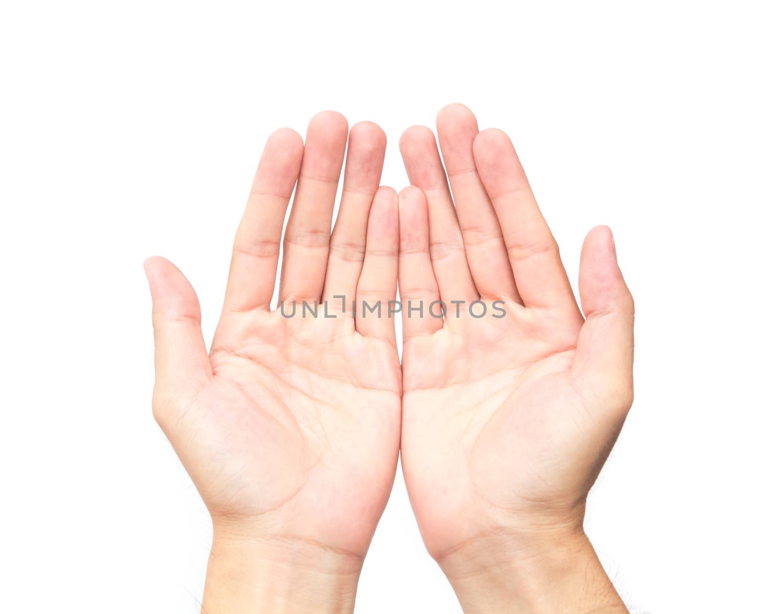 Man empty hands open on white background