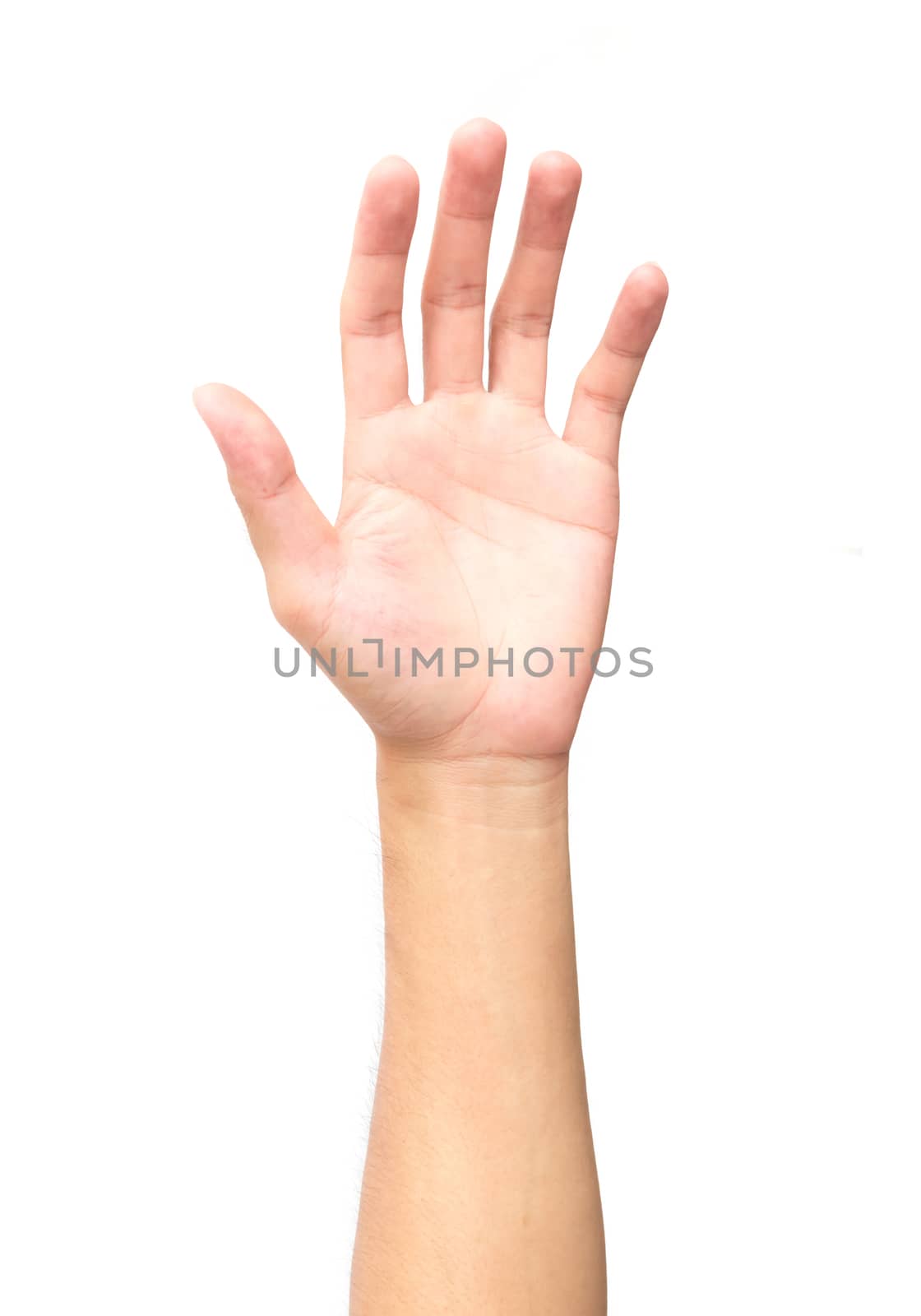 Hand palms on white background, health care and medical concept