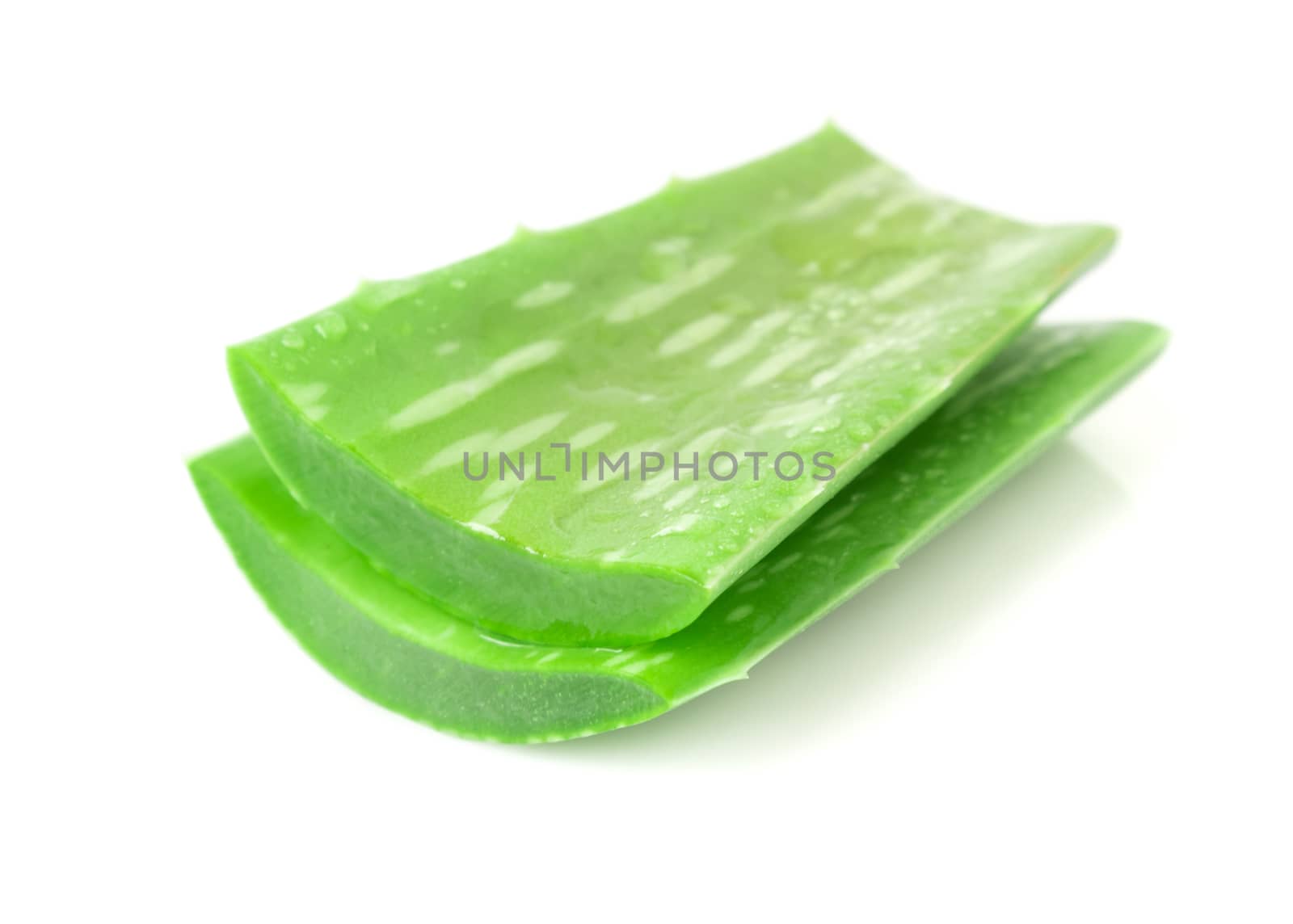 Closeup fresh aloe vera  on white background, selective focus by pt.pongsak@gmail.com