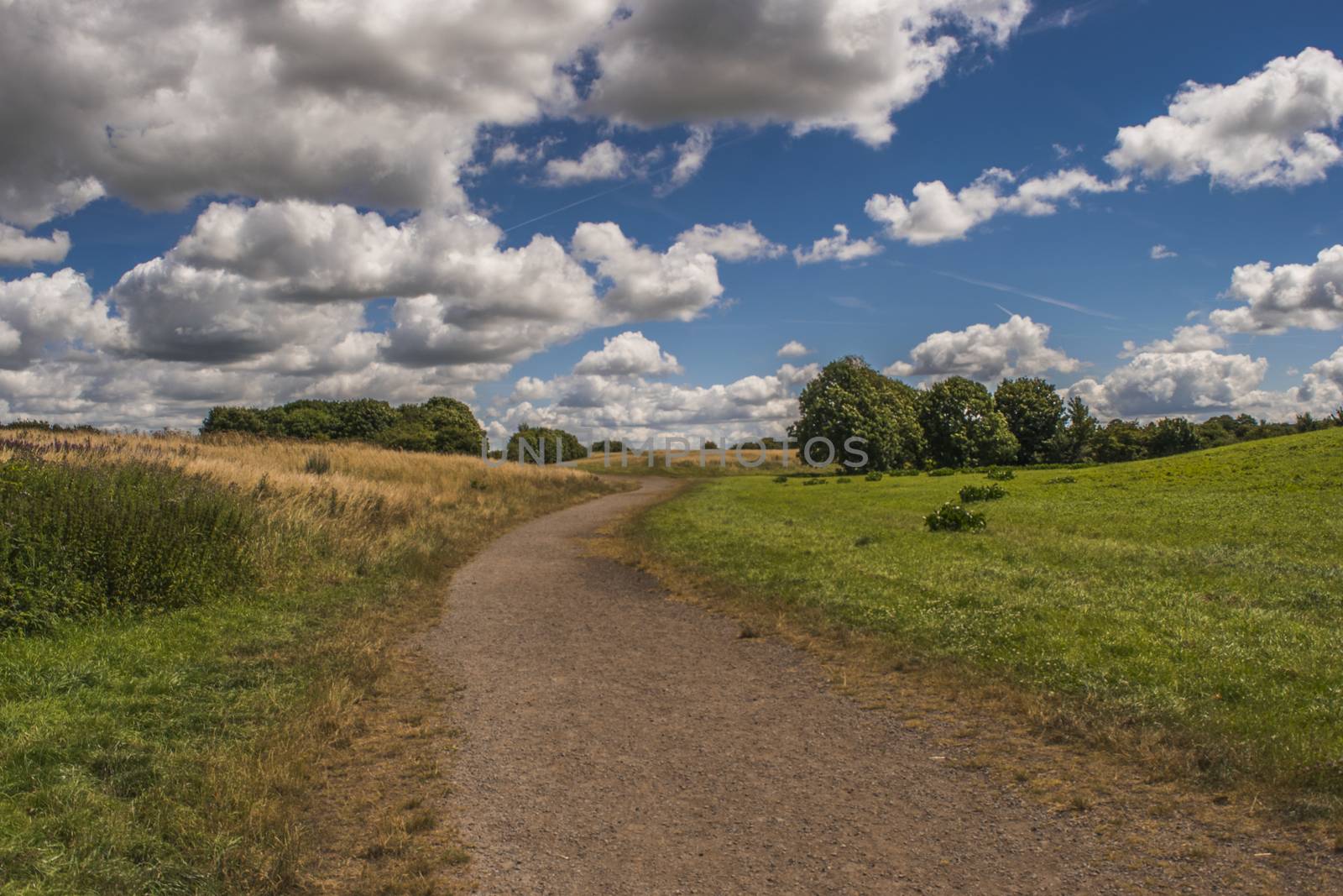 Landscape of a woodland area park with tall grass and trees with a wooden posts and rope fence along side a gravel walkway and a blue sky with fluffy white clouds in the background
