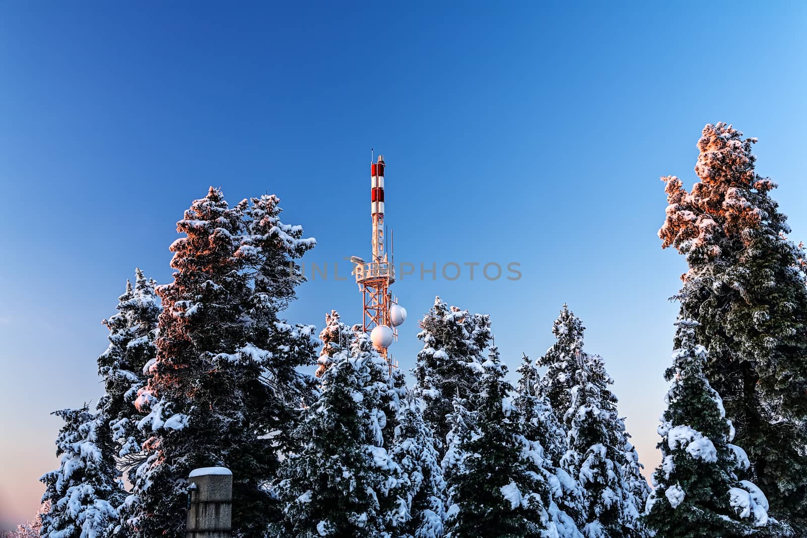 Antenna at mountain during winter with trees and snow