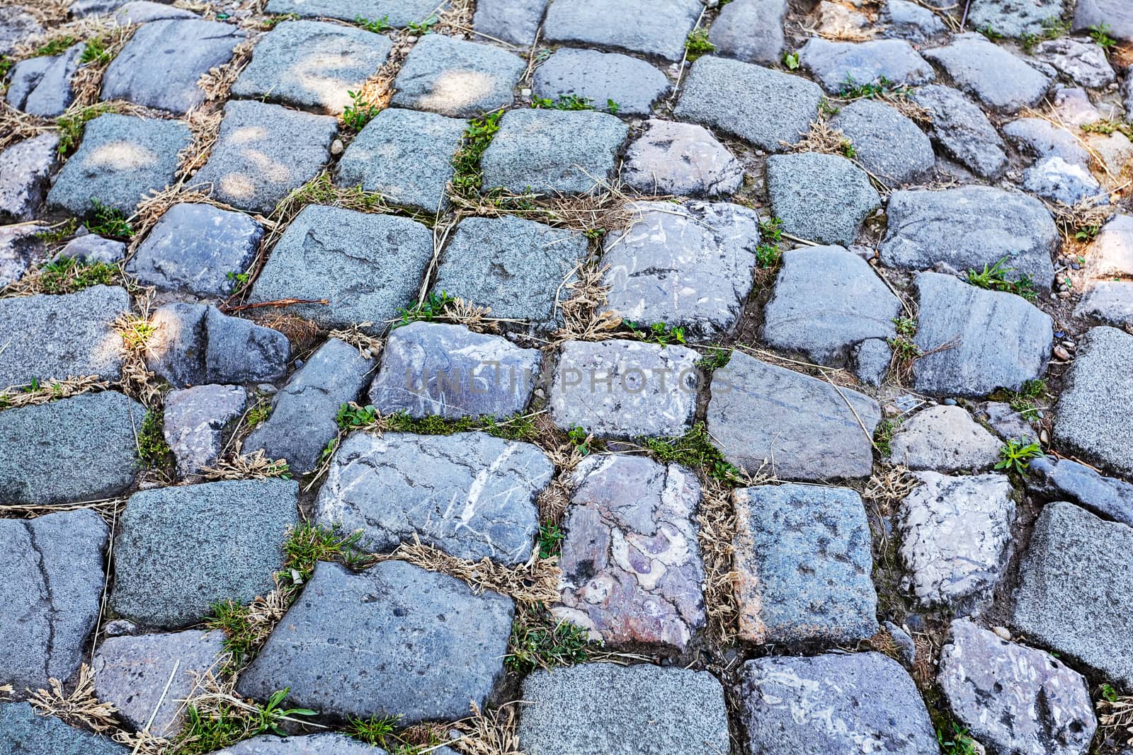 detail of cobblestone path by vladimirnenezic
