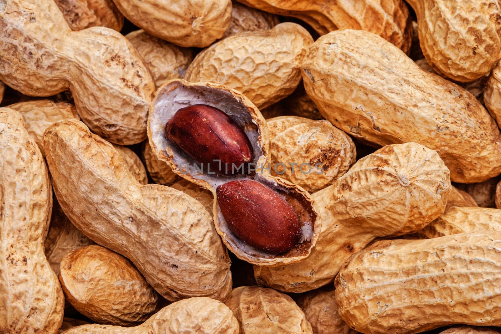 Peanuts in shell close up on the white background