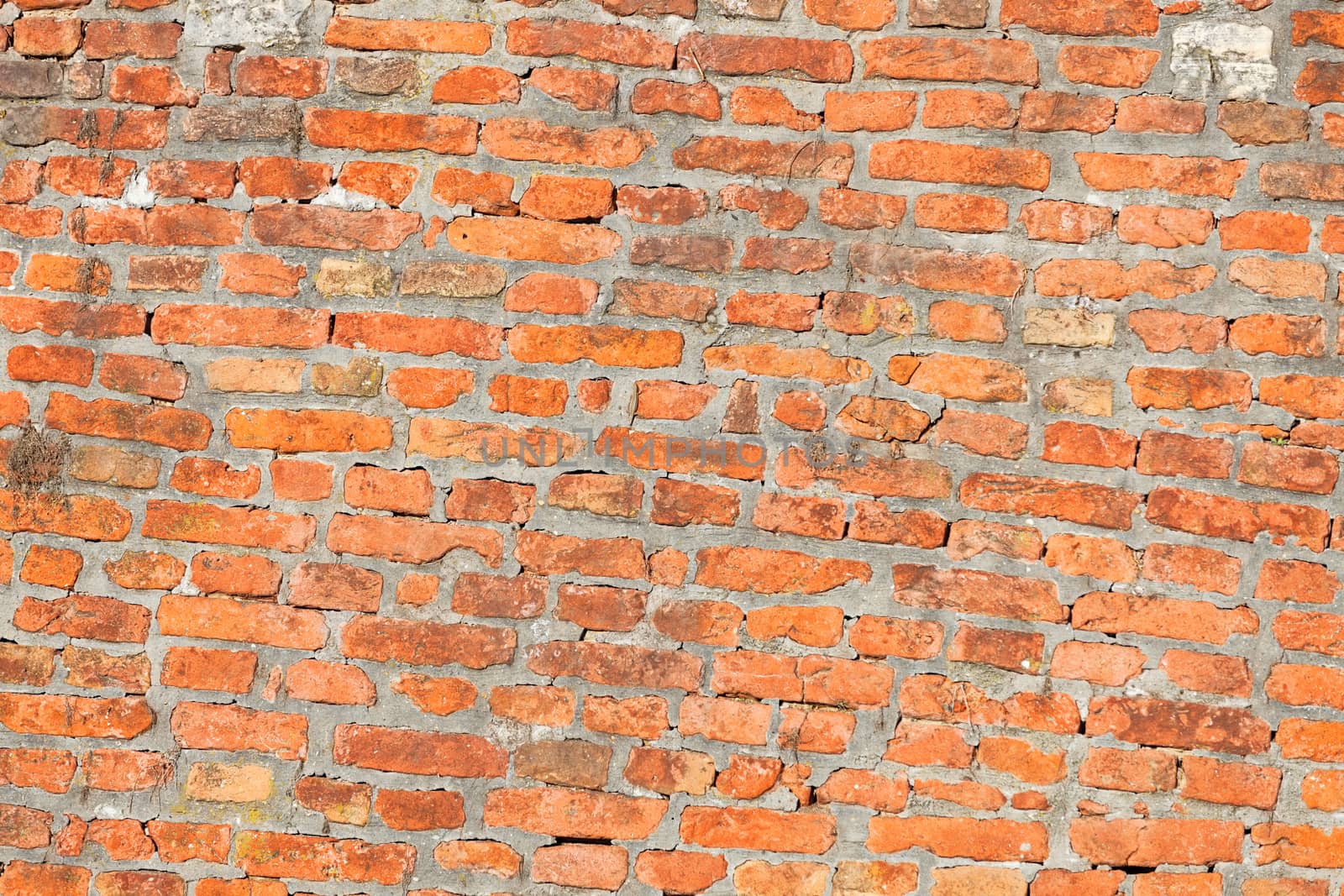 Old brick wall at Belgrade fortress, Belgrade Serbia